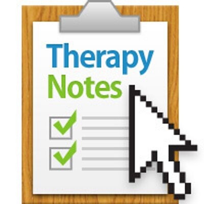 therapy notes